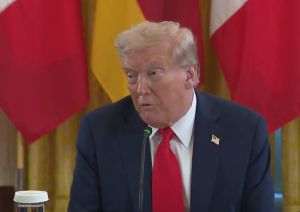 Buenos Aires elimină temporar taxele la cereale pentru a atrage valută